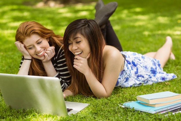 Mujeres felices que usan la computadora portátil en el parque