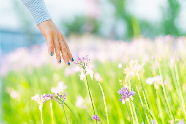 Mujeres y flores en el campo. mano de mujer tocando la flor morada