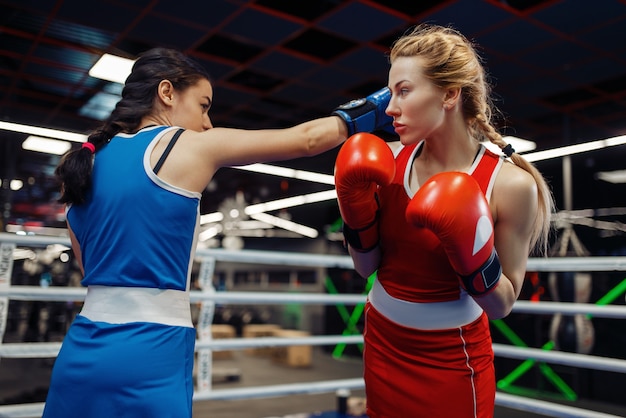 Mujeres en guantes de boxeo en el ring, entrenamiento de caja. Boxeadoras en el gimnasio, compañeros de entrenamiento de kickboxing en el club deportivo, práctica de puñetazos