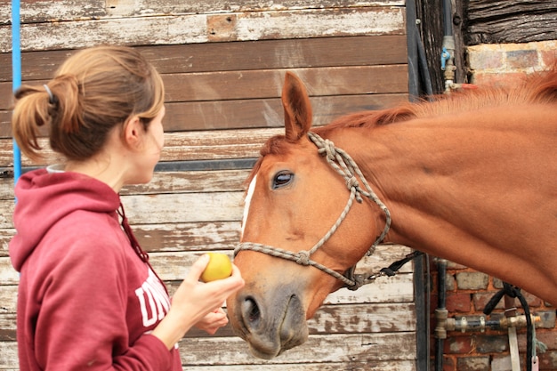 Mujeres hermosas le dan una manzana a su caballo.