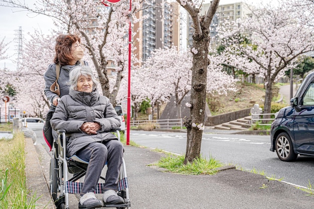 Mujeres japonesas mayores de 90 años y flores de cerezo.
