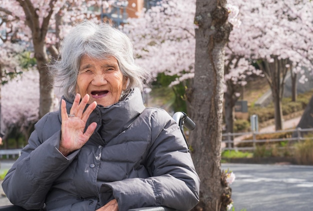 Mujeres japonesas mayores de 90 años y flores de cerezo.