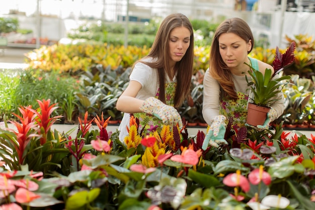 Mujeres jóvenes en el jardín de flores.