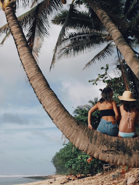 Foto mujeres junto a palmeras en la playa contra el cielo