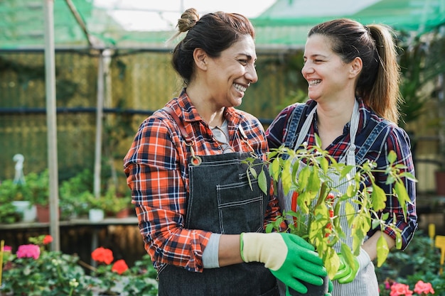 Mujeres maduras divirtiéndose durante la jornada laboral dentro del jardín de invernadero