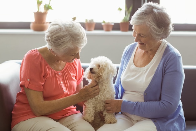 Mujeres mayores acariciando a un perro