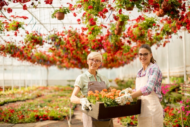 Mujeres mayores y mujeres jóvenes que trabajan juntas en el jardín de flores en el día soleado