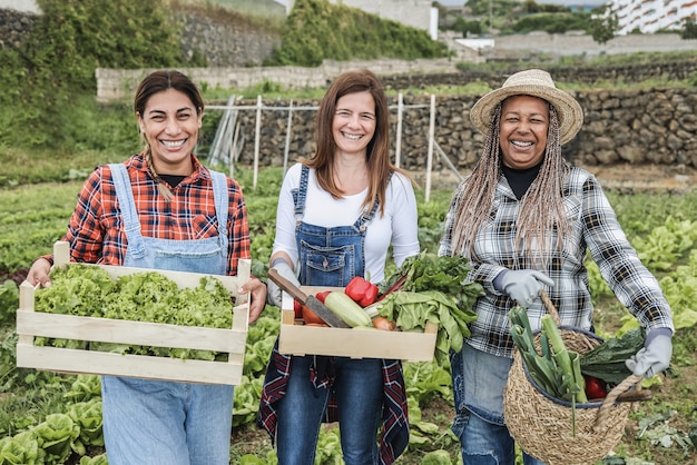 Mujeres multirraciales con cajas de madera con verduras orgánicas frescas: enfoque principal en las caras