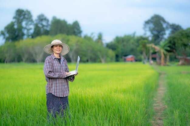 Mujeres sosteniendo una computadora portátil y comprobando el campo de arroz en la granja orgánica de la agricultura