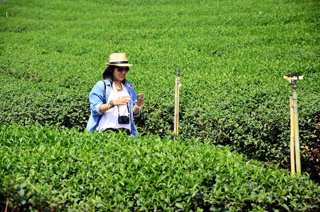 Las mujeres tailandesas viajeras viajan y exploran, visitan, toman fotos con vistas al paisaje rural y al parque de jardines de tierras de cultivo en la montaña en la plantación de té Choui Fong en Chiang Rai, Tailandia
