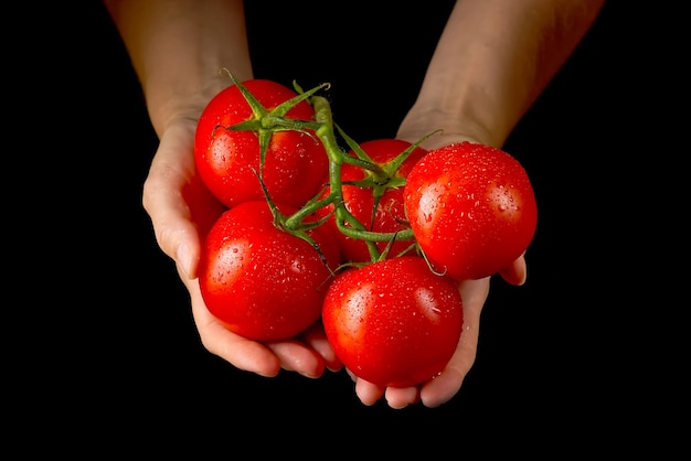 Foto mujeres con tomates frescos alimentos verduras agricultura
