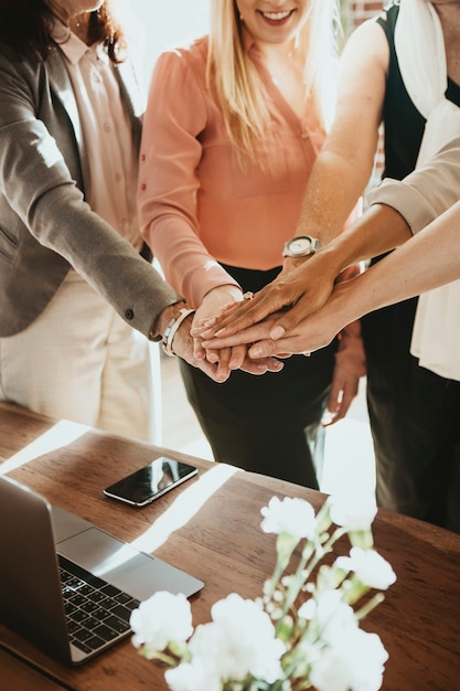 Mujeres uniendo sus manos en el medio