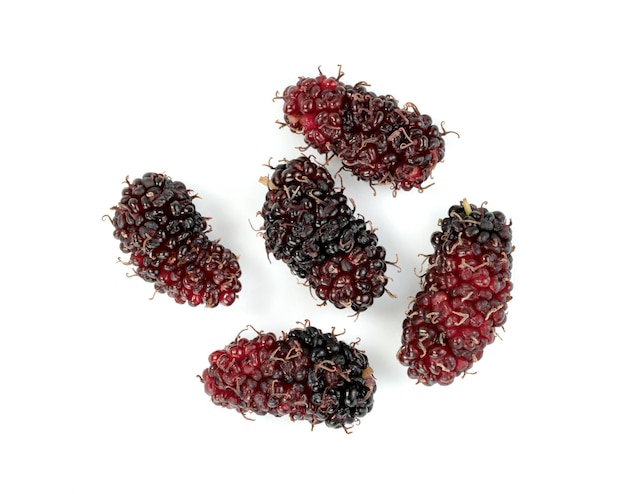 Mulberry-Früchte auf weißem Hintergrund