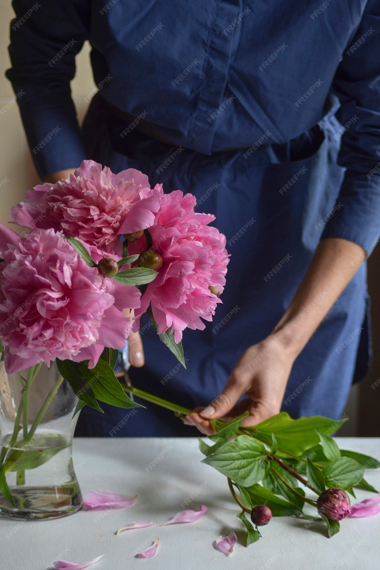 Florista De Mulher Colocou Peões Em Um Vaso. Lindos Piões Rosa