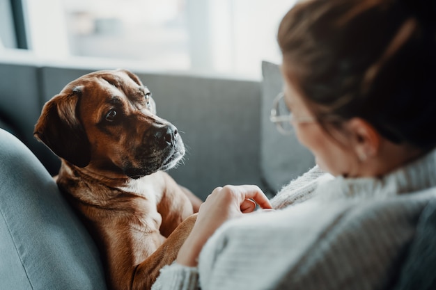 Mulher acariciando, brincando com seu cachorro em casa