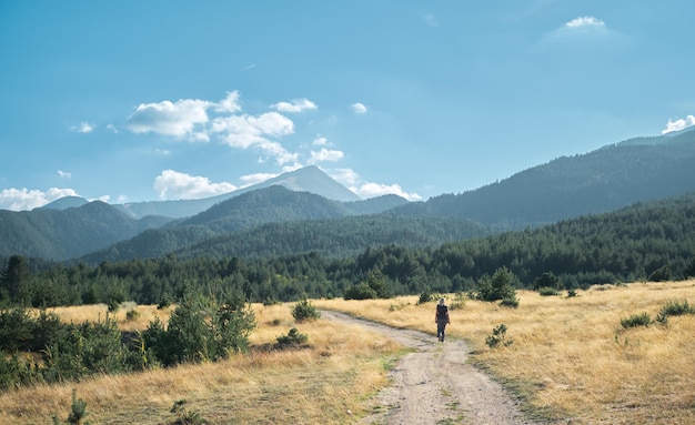 mulher adulta caminha ao longo da estrada em direção à ideia de recreação ao ar livre na floresta para férias fora da cidade