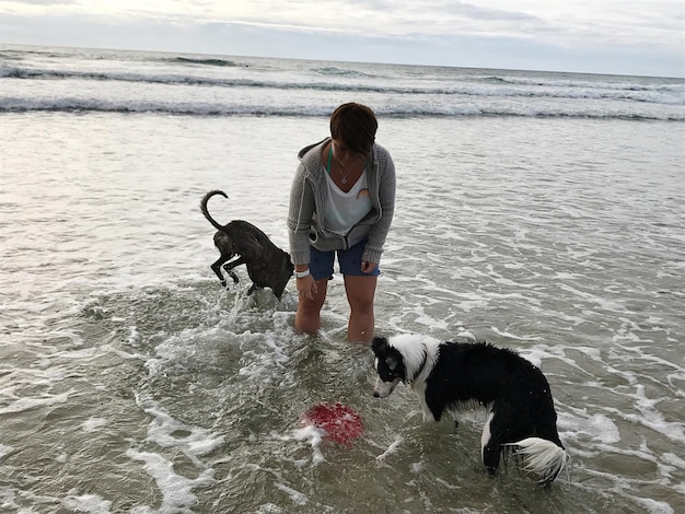 Foto mulher adulta jogando com cães na praia contra o céu