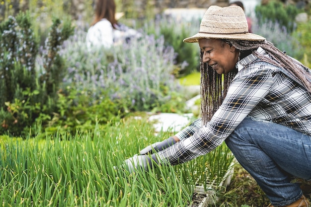 Mulher africana sênior preparando mudas em uma caixa com solo dentro da fazenda de vegetais - conceito de alimentação saudável - foco principal no rosto