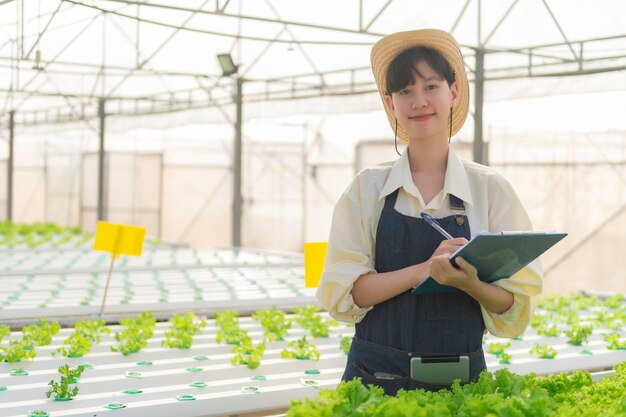 Mulher agricultora asiática que trabalha na fazenda de saladasÁsia feminina Cultivando vegetais para um negócio atacadista no mercado fresco