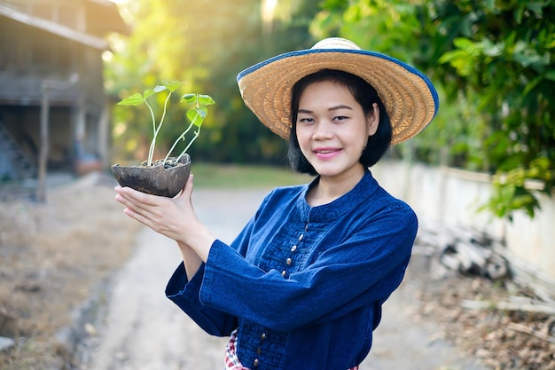 Mulher agricultora asiática segurando planta pequena para jardim