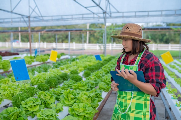 Mulher agricultora asiática trabalhando na fazenda de saladaPlantando vegetais hidropônicos orgânicos para pequenas empresas