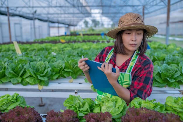 Mulher agricultora asiática trabalhando na fazenda de saladaPlantando vegetais hidropônicos orgânicos para pequenas empresas