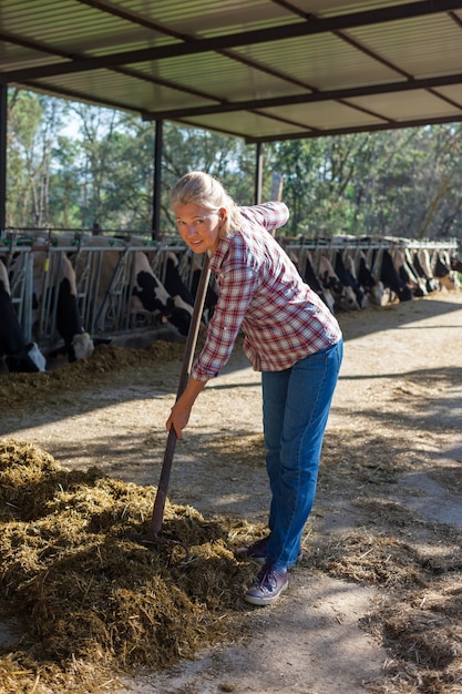 Mulher agricultora cansada, mas satisfeita com suas vacas.