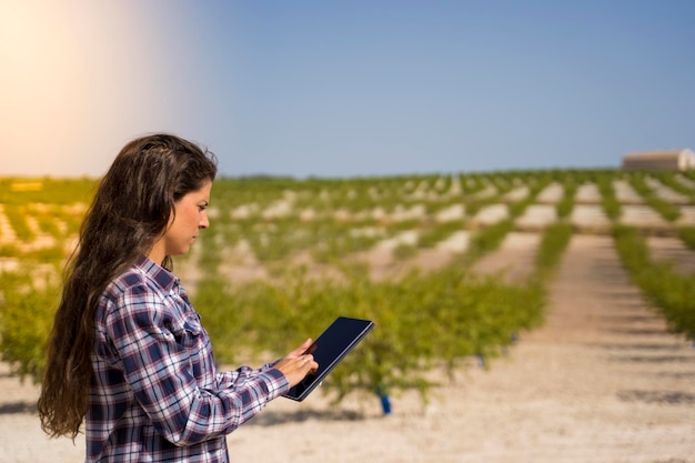 mulher agricultora com um tablet usando novas tecnologias para sua colheita