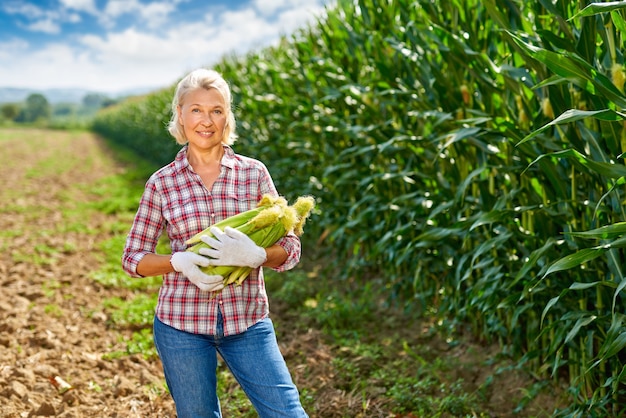 Mulher agricultora com uma safra de milho