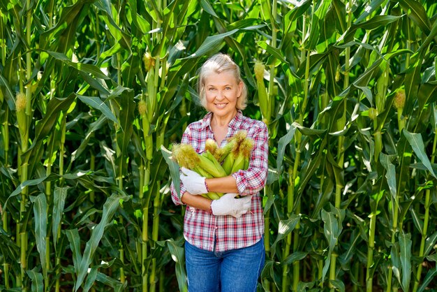 Mulher agricultora com uma safra de milho.