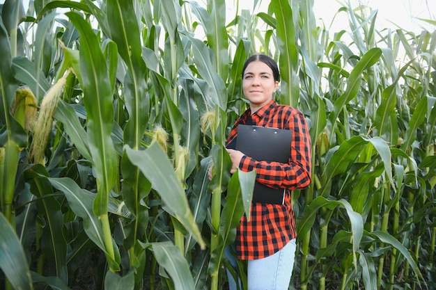 Mulher agricultora em um campo de espigas de milho