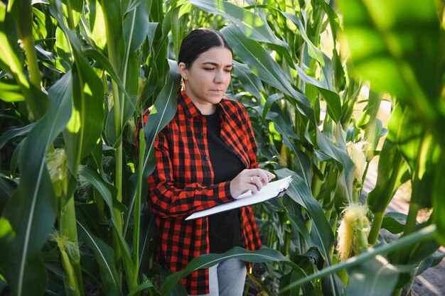 Mulher agricultora em um campo de espigas de milho