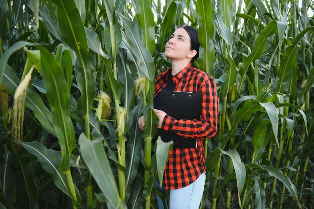 Mulher agricultora em um campo de espigas de milho