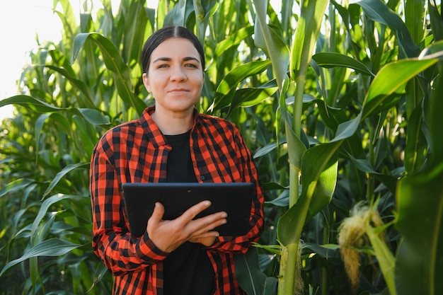 Foto mulher agricultora em um campo de espigas de milho