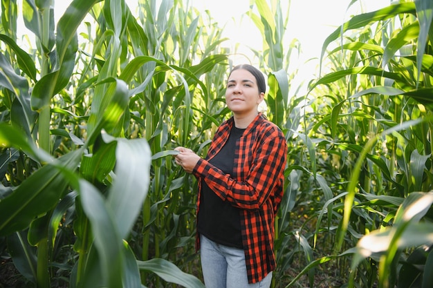 Mulher agricultora em um campo de espigas de milho
