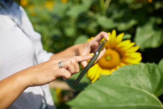 Mulher agricultora, mulher de negócios segura tablet faz vendas on-line no campo girassóis orgânicos