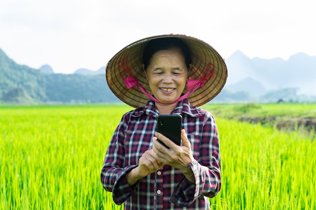 Mulher agricultora no campo de arroz