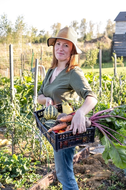 Mulher agricultora segurando cesta com legumes frescos beterraba e cenoura nas mãos ao pôr do sol Conceito de agricultura cultivando nutrição natural por seu próprio processo de trabalho real no jardim