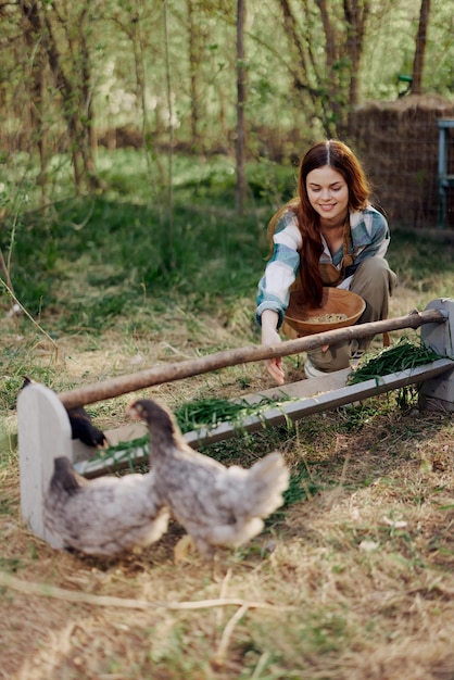 Mulher agricultora sorri alimenta pássaros galinhas comida orgânica para a saúde das aves e bons ovos e cuida do meio ambiente luz do sol