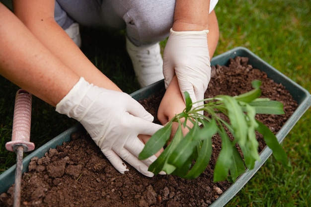 Mulher ajuda criança a plantar flores no solo