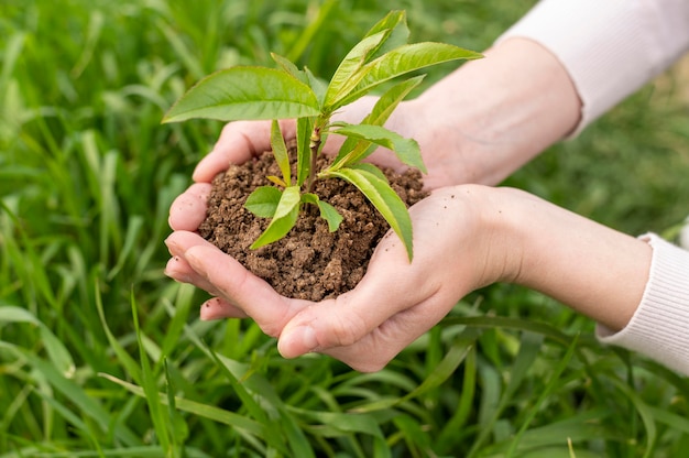 Mulher alto ângulo, segurando, solo, com, planta, em, mãos