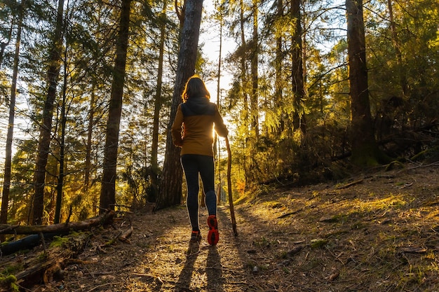 Mulher andando com uma jaqueta amarela em uma caminhada pela floresta uma tarde ao pôr do sol