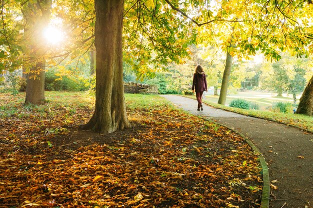 Mulher andando no parque durante o outono