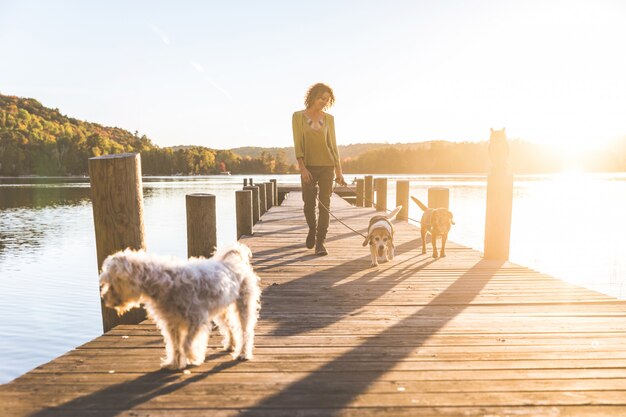 Mulher, andar, cachorros, doca, pôr do sol