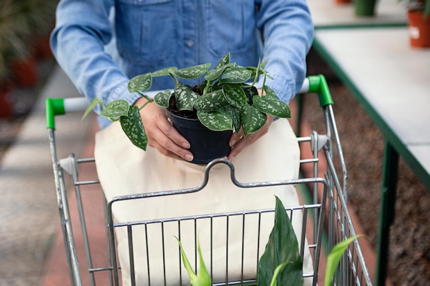 Mulher anônima escolhe uma nova planta e a coloca no carrinho de compras, saco ecológico em branco