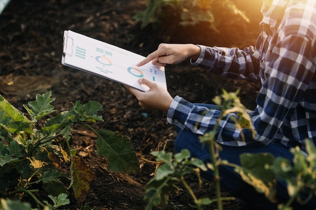 Mulher asiática e homem agricultor trabalhando juntos na fazenda de vegetais de salada hidropônica orgânica usando tablet inspecionam a qualidade da alface no jardim com efeito de estufa Agricultura inteligente