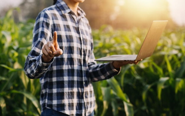 Mulher asiática e homem agricultor trabalhando juntos na fazenda de vegetais de salada hidropônica orgânica usando tablet inspecionam a qualidade da alface no jardim com efeito de estufa Agricultura inteligente