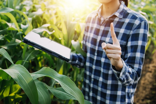 Mulher asiática e homem agricultor trabalhando juntos na fazenda de vegetais de salada hidropônica orgânica usando tablet inspecionam a qualidade da alface no jardim com efeito de estufa Agricultura inteligente