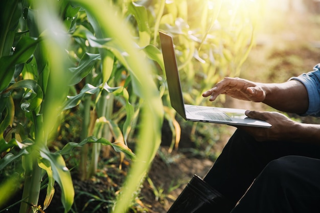 Mulher asiática e homem agricultor trabalhando juntos na fazenda de vegetais de salada hidropônica orgânica usando tablet inspecionam a qualidade da alface no jardim com efeito de estufa Agricultura inteligente