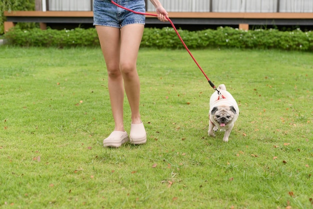 Foto mulher asiática feliz a brincar com um cãozinho no quintal.